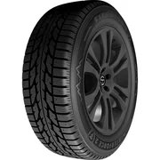 Firestone Winterforce 2 tire